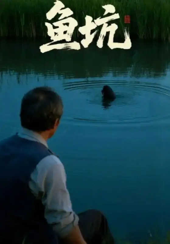 短剧《鱼坑》正片完整版免费在线观看全集