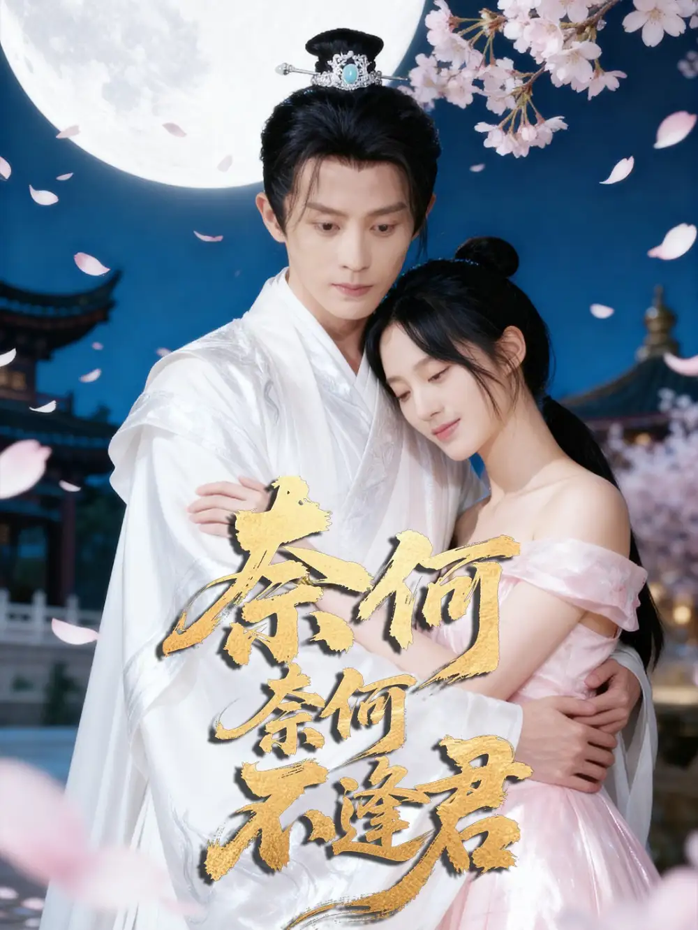 短剧《奈何奈何不逢君》正片完整版免费在线观看全集