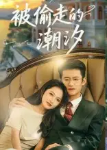 短剧《被偷走的潮汐》正片完整版免费在线观看全集