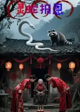 短剧《灵蛇报恩》正片完整版免费在线观看全集