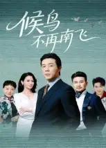 短剧《候鸟不再南飞》正片完整版免费在线观看全集