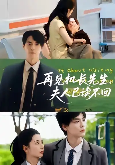 短剧《再见机长先生夫人已读不回》正片完整版免费在线观看全集