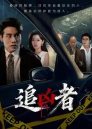 短剧《追凶者》正片完整版免费在线观看全集