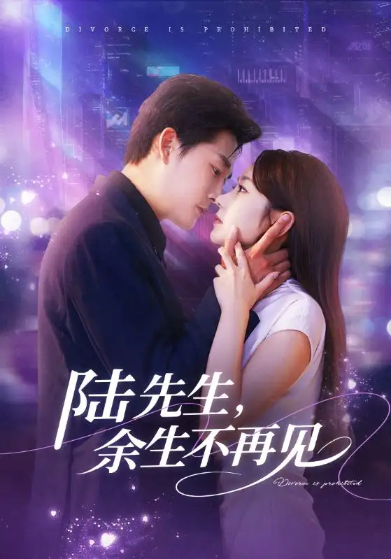 短剧《陆先生，余生不再见》正片完整版免费在线观看全集