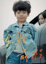 短剧《车毁前程》正片完整版免费在线观看全集