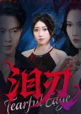 泪刃（40集）魏铭洋&朱婉婷海报