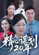 精心谋划20年（33集）端木艺晨海报