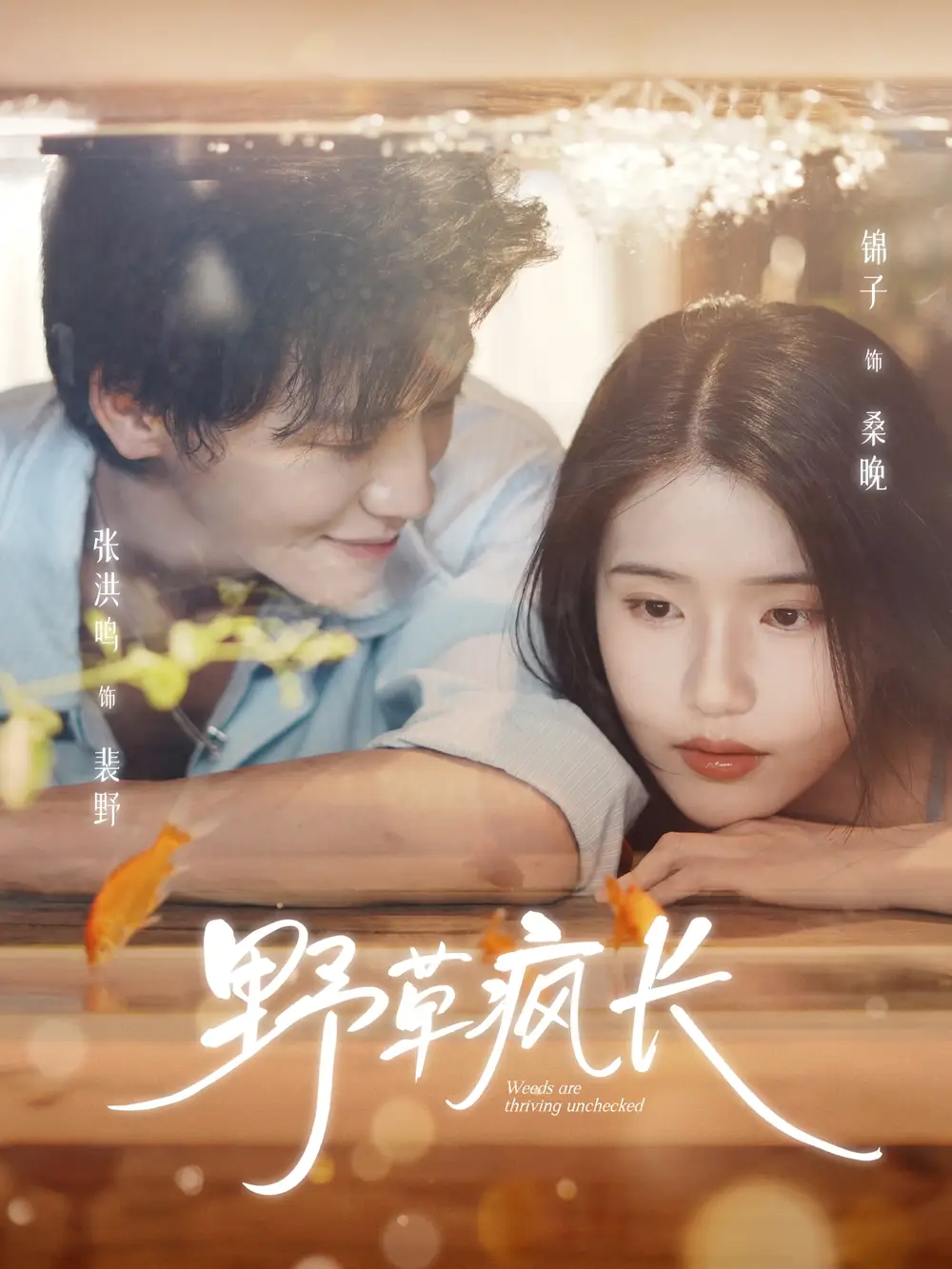 短剧《野草疯长》正片完整版免费在线观看全集