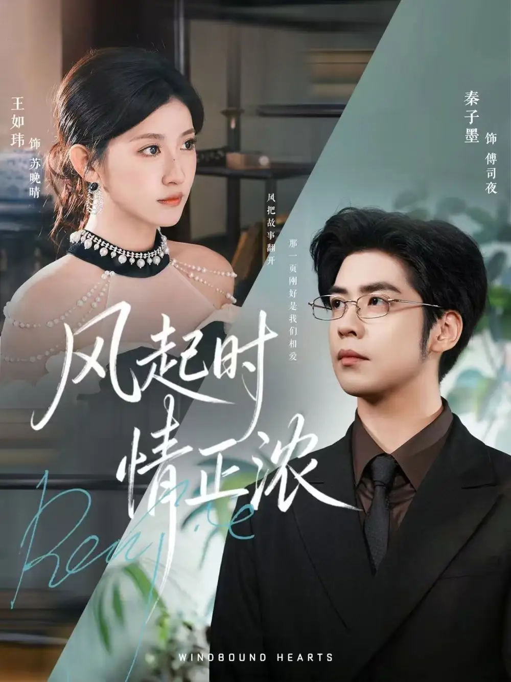 短剧《风起时情正浓》正片完整版免费在线观看全集