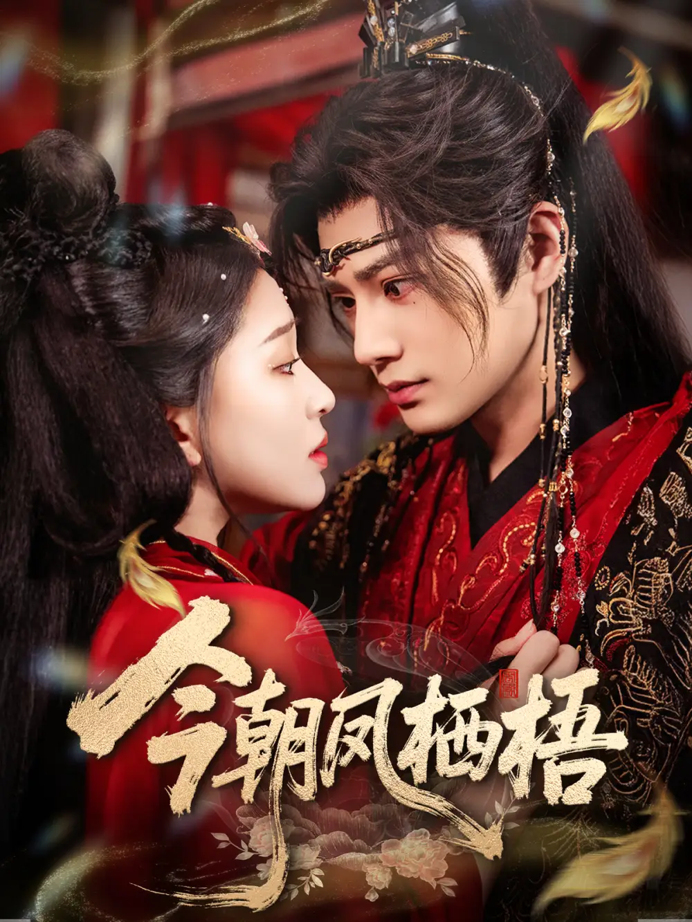 短剧《今朝凤栖梧》正片完整版免费在线观看全集