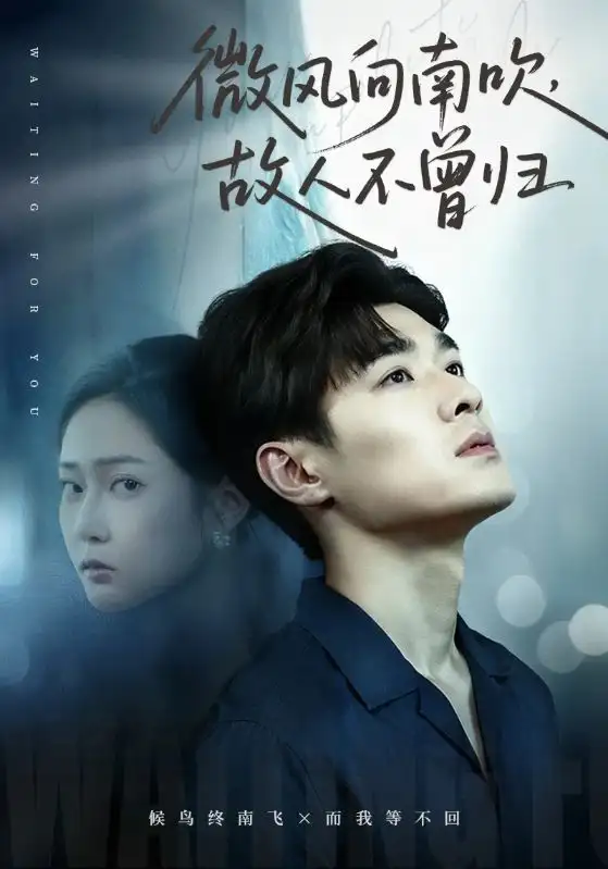 短剧《微风向南吹，故人不曾归》正片完整版免费在线观看全集