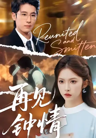 再见钟情（100集）林枫松＆吴毅非海报