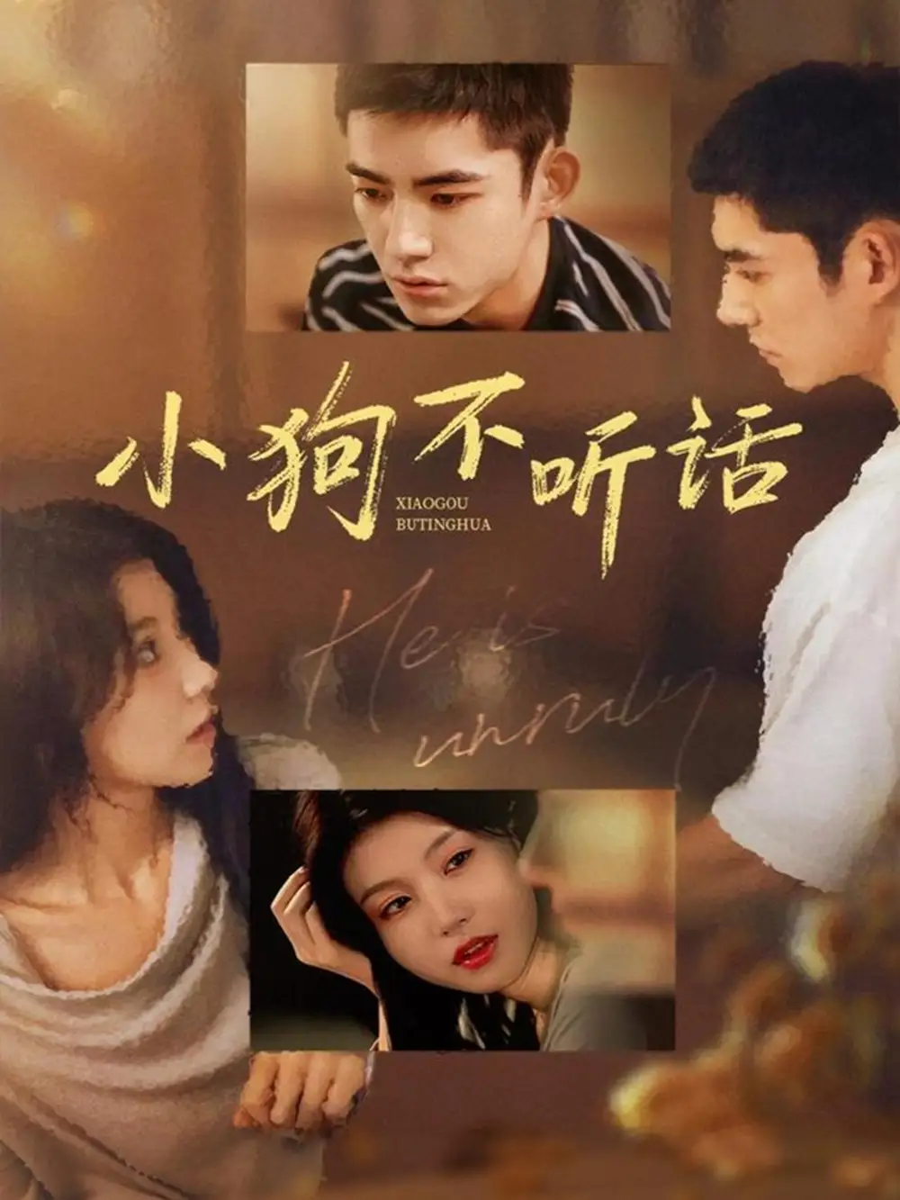 小狗不听话（70集）马浩东＆何田田海报