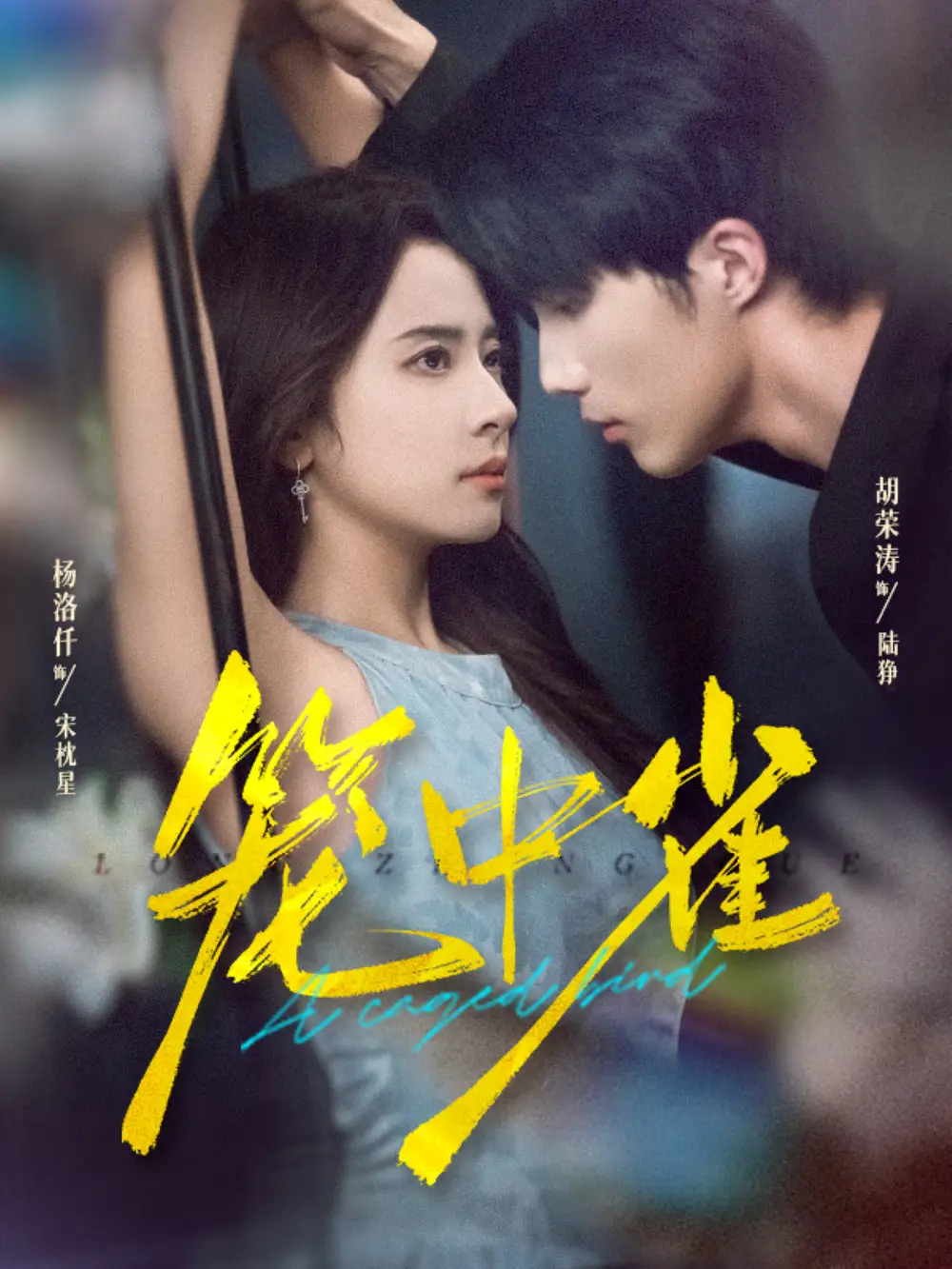 笼中雀（65集）胡荣涛＆杨洛仟海报